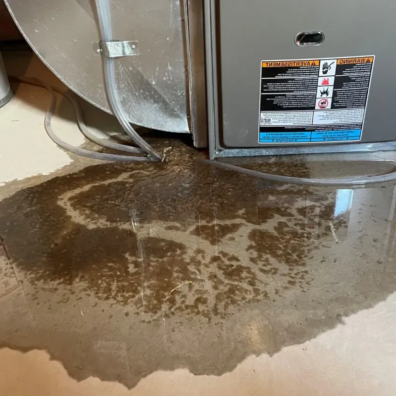Pipe Burst and Leak Restoration in Fremont County, CO