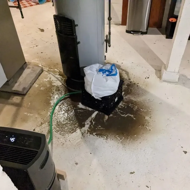 Sewage Backup Cleanup Service in Fremont County, CO